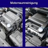 Motorraumreinigung